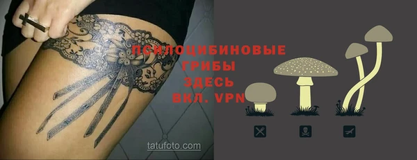 первитин Няндома
