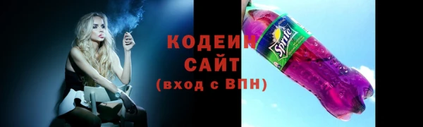 первитин Няндома