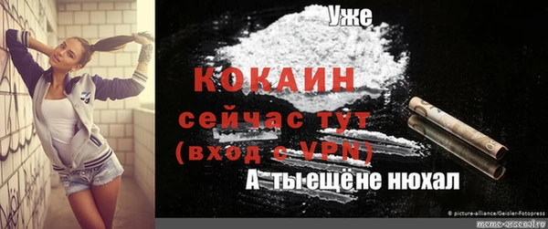 первитин Няндома